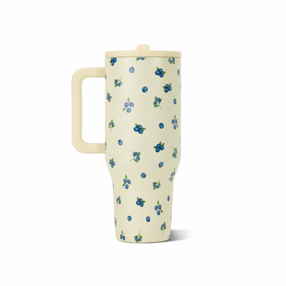 HYDROJUG HydroJug Traveler 40oz - Insulated Tumbler with Handle – Freshly Pickd