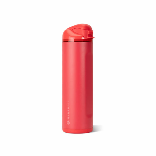 HYDROJUG HydroJug Ease2o 24oz - 2-in-1 Water Bottle with Soft Straw & Chug Spout – Fruit Punch